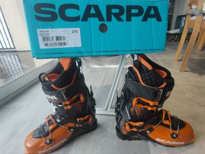 Annonce N°20250322-1